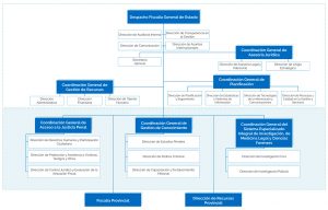 Estructura orgánica funcional