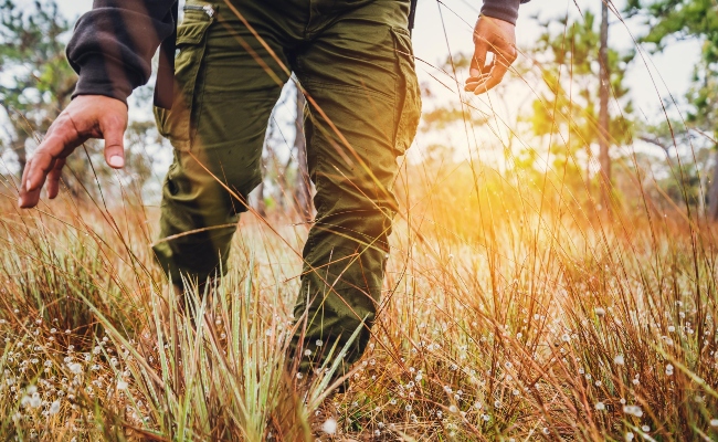 Imagen de boletín: Procesado por la violación a una adolescente de 15 años