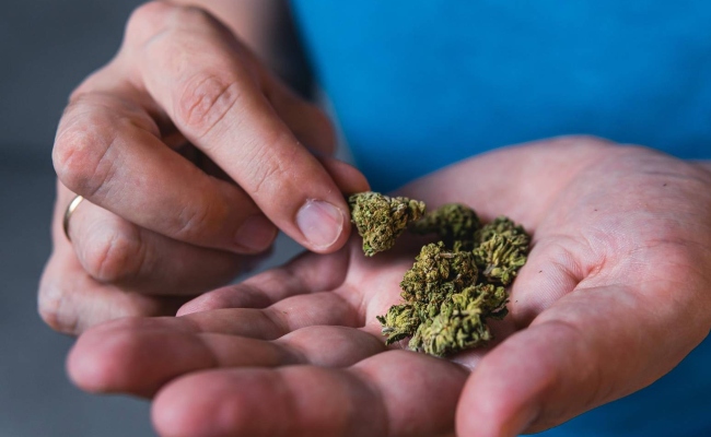 Imagen de boletín: 3 personas son llamadas a juicio por tráfico de drogas a gran escala