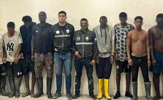 Imagen de boletín: 12 integrantes de ‘Los Lobos’ son sentenciados por terrorismo