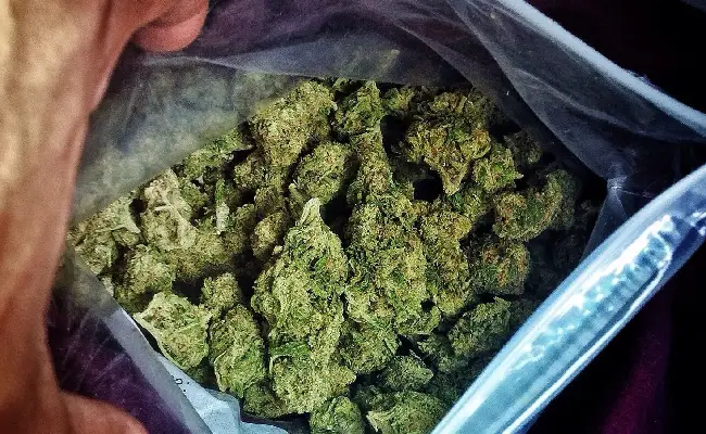 Imagen de boletín: Procesado por presunto tráfico de drogas guarda prisión preventiva