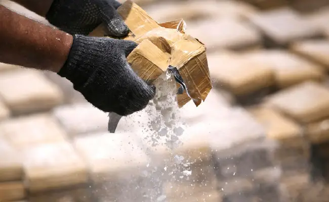 Imagen de boletín: Sentencia agravada de 36 años de cárcel por tráfico de drogas a gran escala