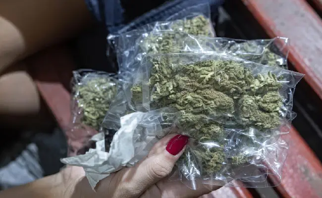 Imagen de boletín: Llamada a juicio por presunto tráfico de drogas en alta escala en Riobamba