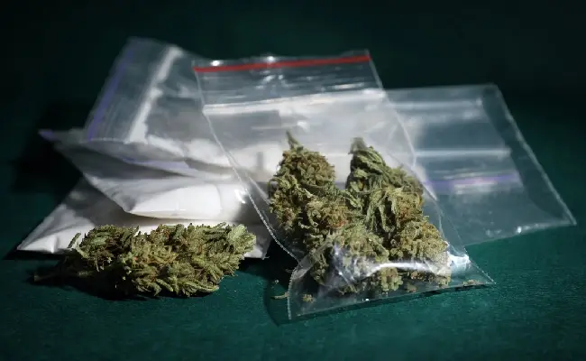 Imagen de boletín: Aprehendida con marihuana y cocaína enfrenta un proceso penal