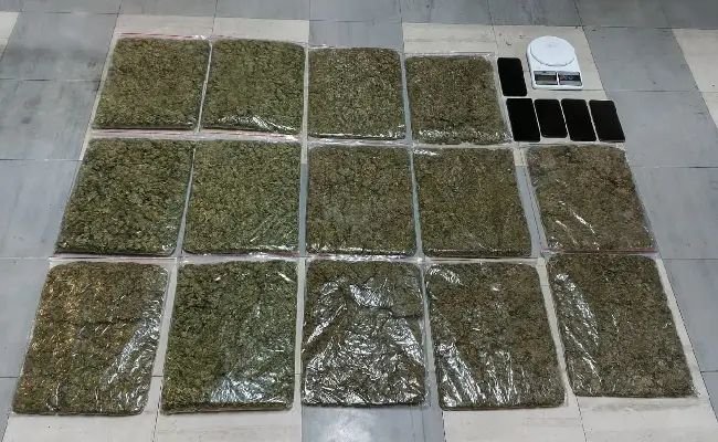Imagen de boletín: 3 procesados por presunto tráfico de más de 6,8 kilos de marihuana