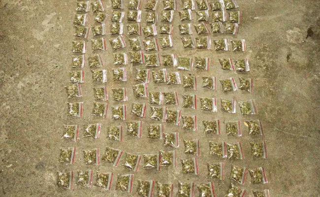 Imagen de boletín: Procesado por presunto tráfico de drogas a gran escala, se le encontró con 211,3 kilos de marihuana