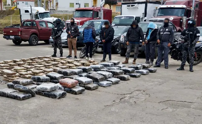 Imagen del boletín: 5 procesados por tráfico de casi 500 kilos de marihuana en Tulcán