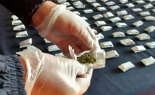 Imagen de boletín: 4 adultos y 3 adolescentes son procesados por presunto tráfico de drogas en alta escala
