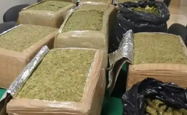 Imagen de boletín: Fiscalía procesa a 8 personas por presunto tráfico de drogas a gran escala