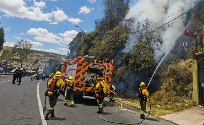 Imagen del boletín: Presunto responsable de un incendio forestal irá a juicio