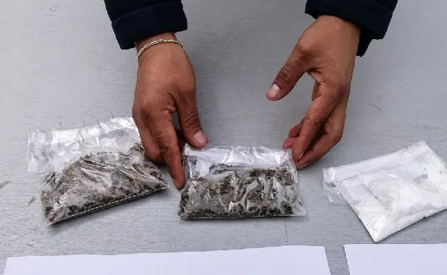 Imagen del boletín: Prisión preventiva para 2 procesados por tráfico de drogas en Gualaceo