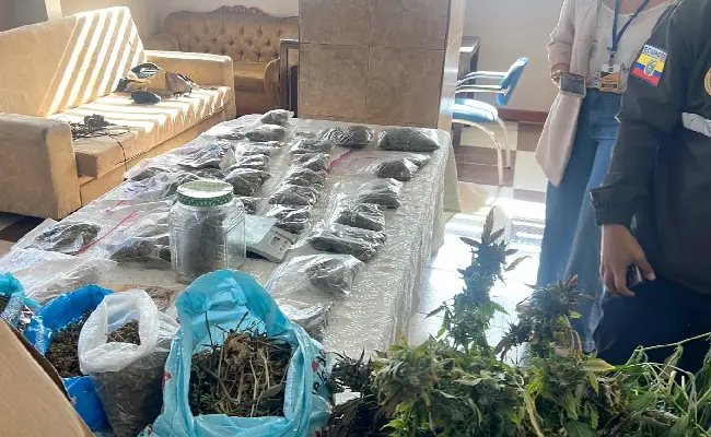 Imagen del boletín: Prisión preventiva para alias Gringo por presunto tráfico de drogas