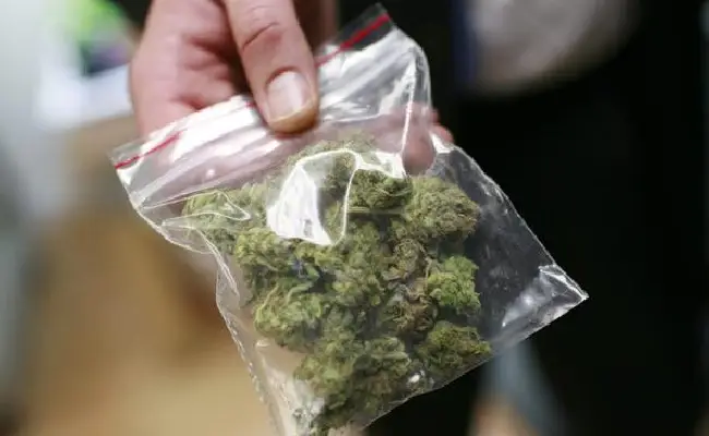 Imagen del boletín: Sentenciado a 19 años por tráfico de drogas en alta escala