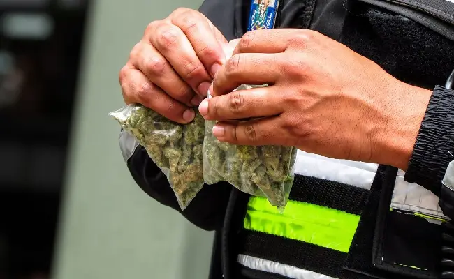 Imagen del boletín: Prisión preventiva para procesado por tráfico de drogas en Riobamba