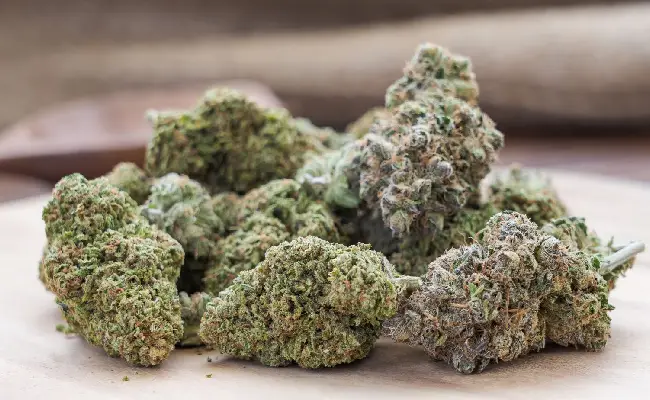 Imagen del boletín: Dos procesados cumplen prisión preventiva por transportar marihuana