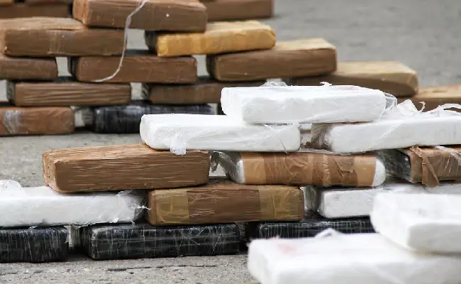 Imagen del boletín: Representante legal de exportadora es procesado por tráfico de drogas a gran escala